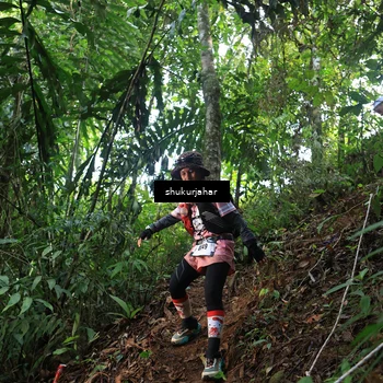 Runner Photo 5511264