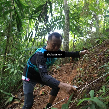Runner Photo 5511305