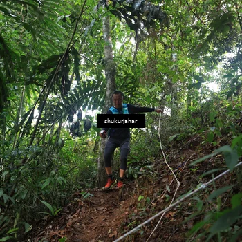 Runner Photo 5511323