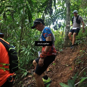 Runner Photo 5511408