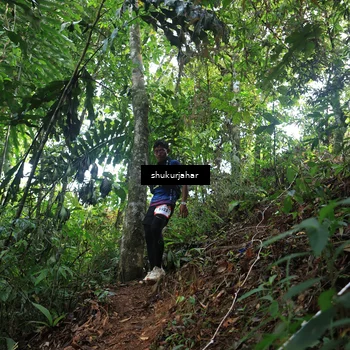 Runner Photo 5511458