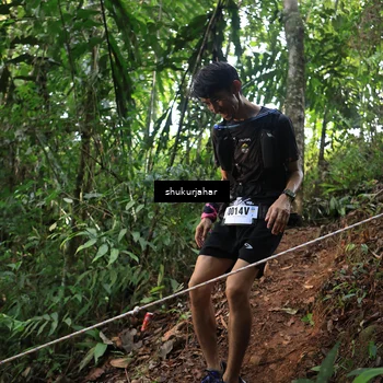 Runner Photo 5511463
