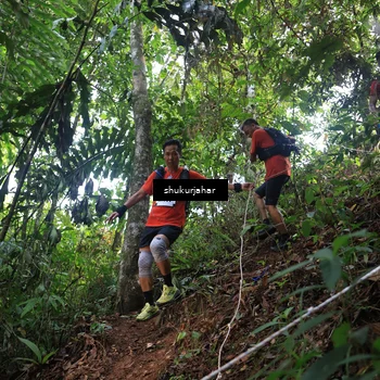 Runner Photo 5511540