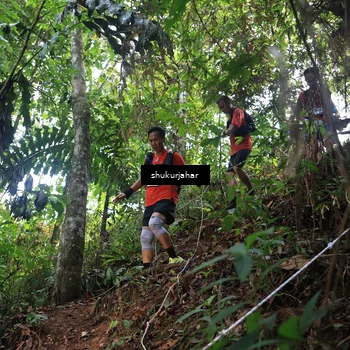 Runner Photo 5511541