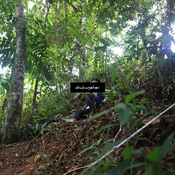 Runner Photo 5511583