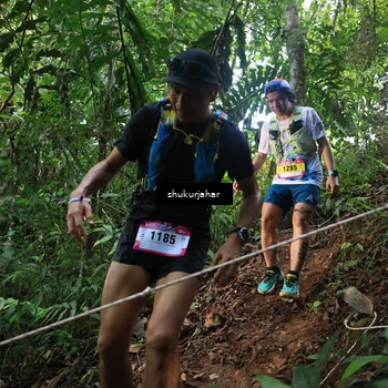 Runner Photo 5511631