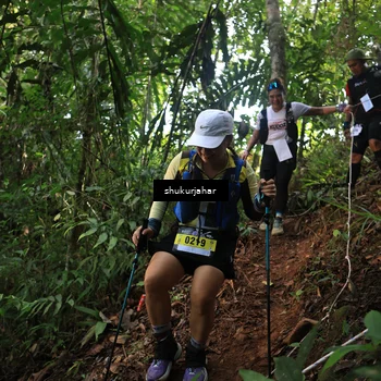 Runner Photo 5511718