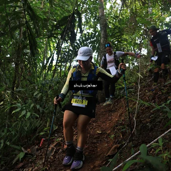 Runner Photo 5511724
