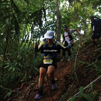 Runner Photo 5511726
