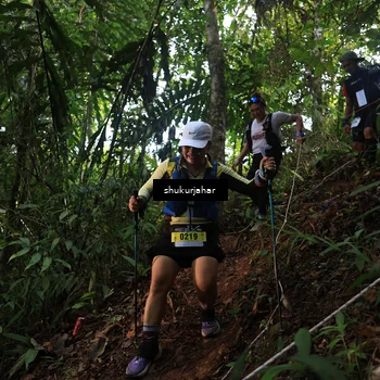 Runner Photo 5511728