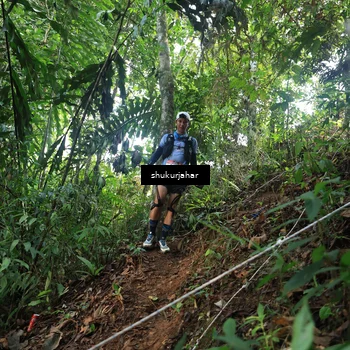 Runner Photo 5511746