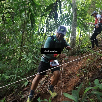 Runner Photo 5511764