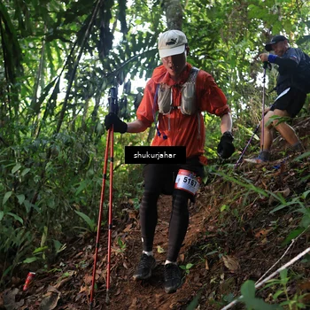 Runner Photo 5511825