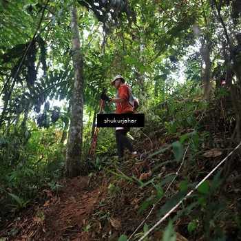 Runner Photo 5511827