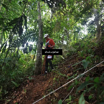 Runner Photo 5511828
