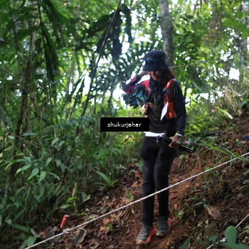 Runner Photo 5511836