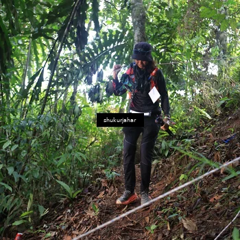 Runner Photo 5511845