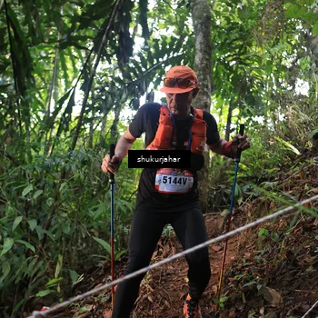 Runner Photo 5511886