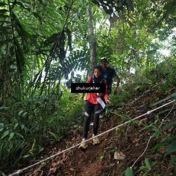 Runner Photo 5512056
