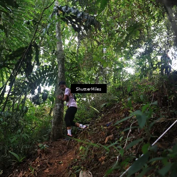 Runner Photo 5512123