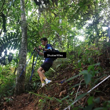 Runner Photo 5512140