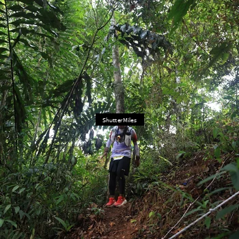 Runner Photo 5512185