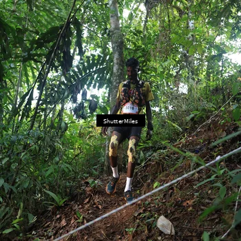 Runner Photo 5512254