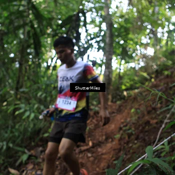 Runner Photo 5512390