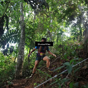Runner Photo 5512419
