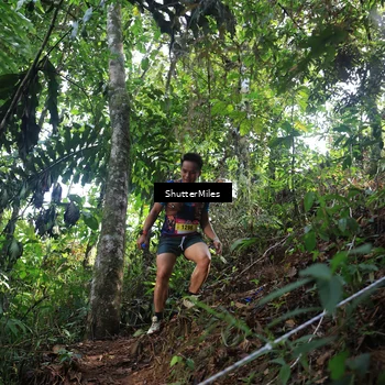 Runner Photo 5512422