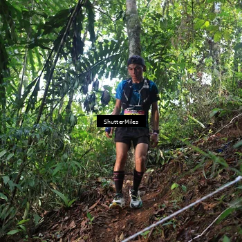 Runner Photo 5512446