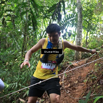 Runner Photo 5512467