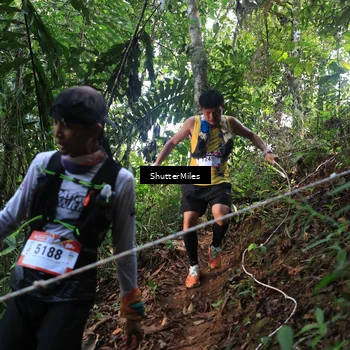 Runner Photo 5512473