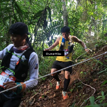Runner Photo 5512476
