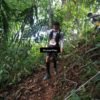 Runner Photo 5512481