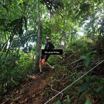 Runner Photo 5512519