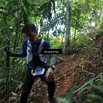 Runner Photo 5512556