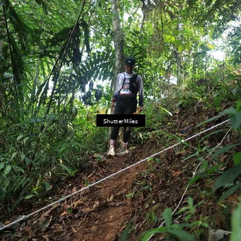 Runner Photo 5512601