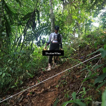Runner Photo 5512608