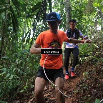Runner Photo 5512634