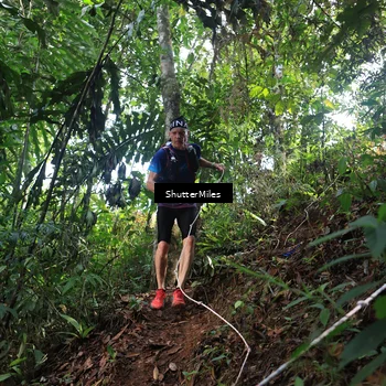 Runner Photo 5512716