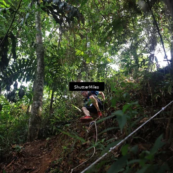 Runner Photo 5512719