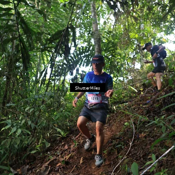 Runner Photo 5512745