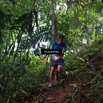 Runner Photo 5512747