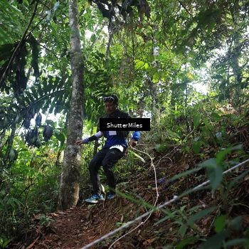 Runner Photo 5512785
