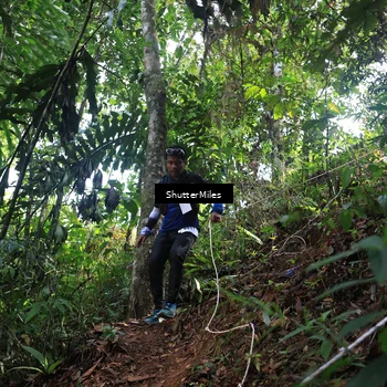 Runner Photo 5512792