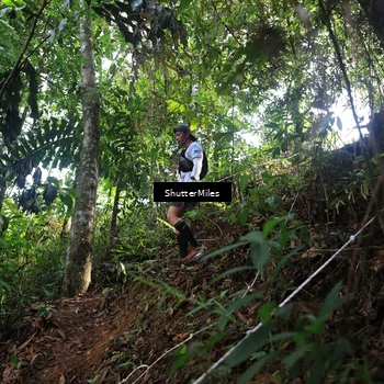 Runner Photo 5512834