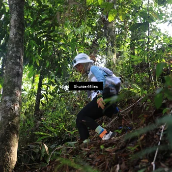 Runner Photo 5512914