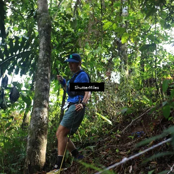 Runner Photo 5512969