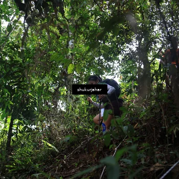 Runner Photo 5513736